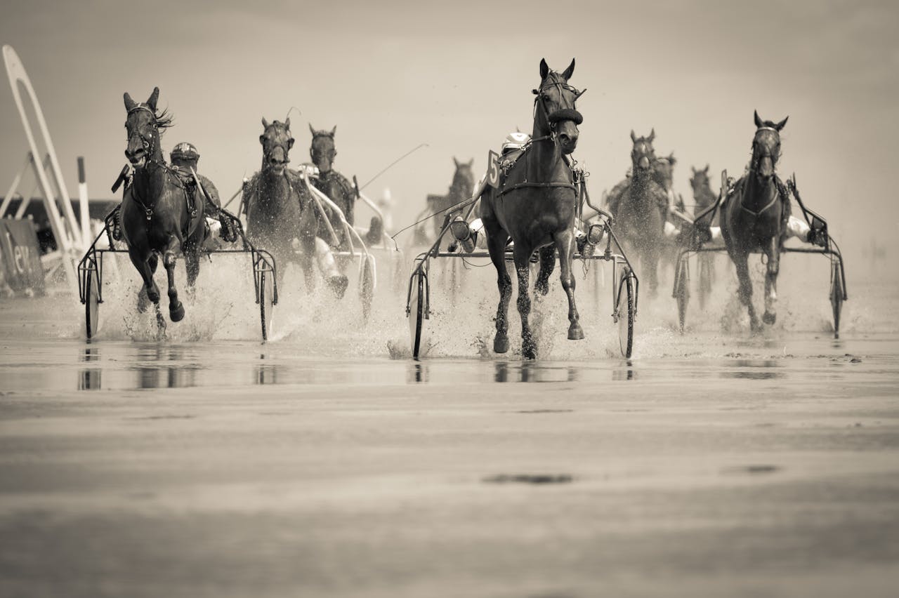 Dynamic shot of a harness horse race on a wet beach in Cuxhaven, Germany.